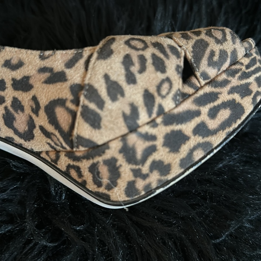 Pelle Moda - Picture 6 of 7